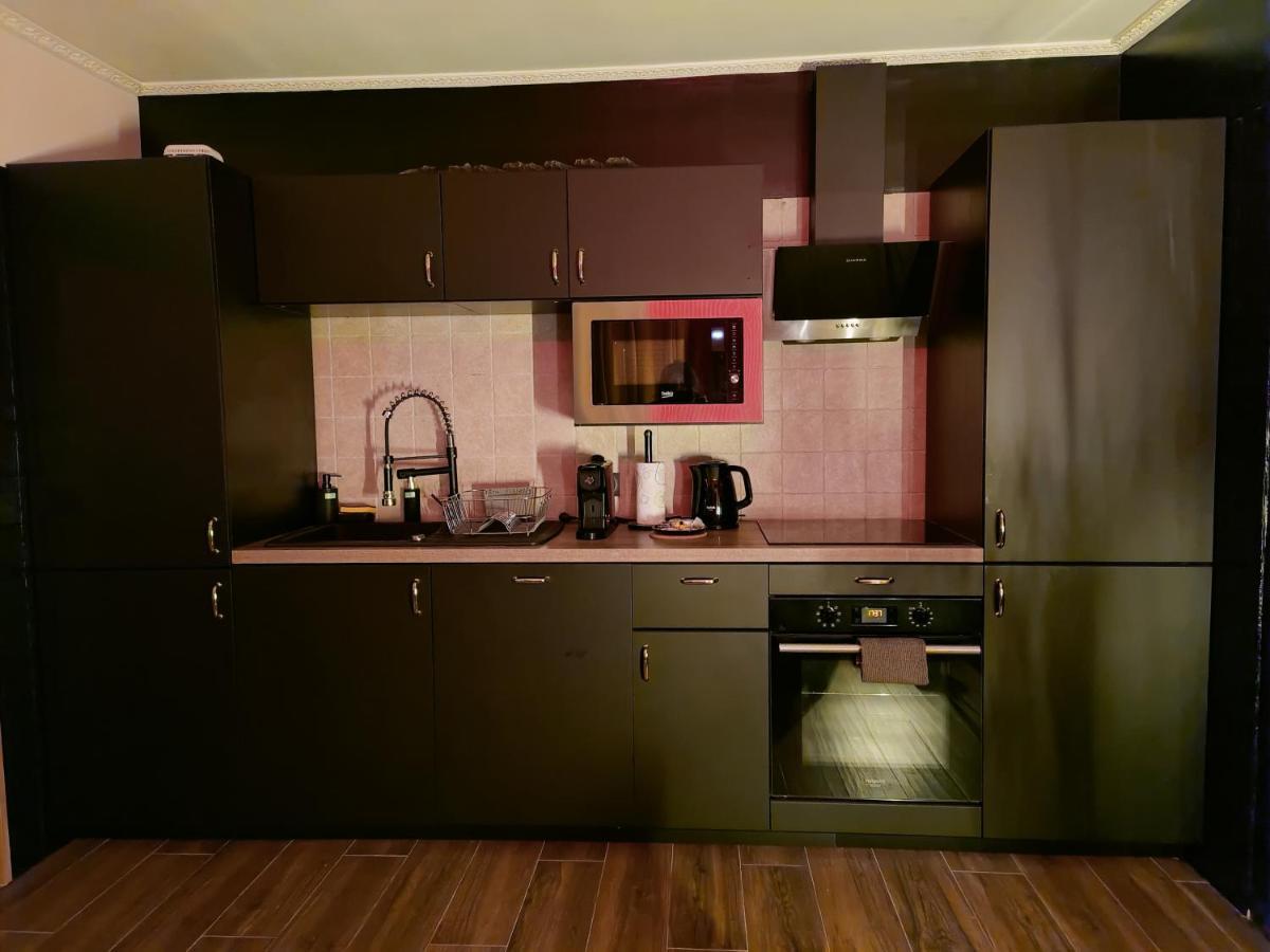 La Loveroom Bdsm De Nice " La Chambre Luxe Des Desirs " Екстер'єр фото